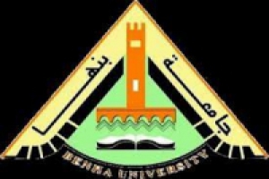 Forming a committee to choose a logo for the EL-Obour branch of Benha University